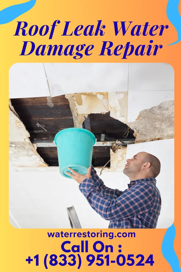 Roof Leak Water Damage Repair in Walsh, CO